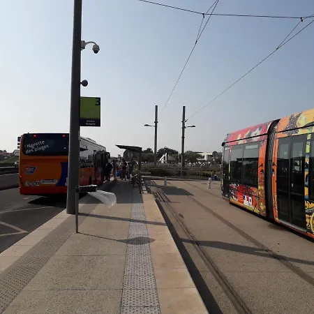 Le Soleil * Montpellier
